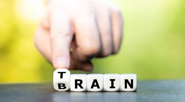 des dés qui avec des lettres forment le mot brain mais aussi train